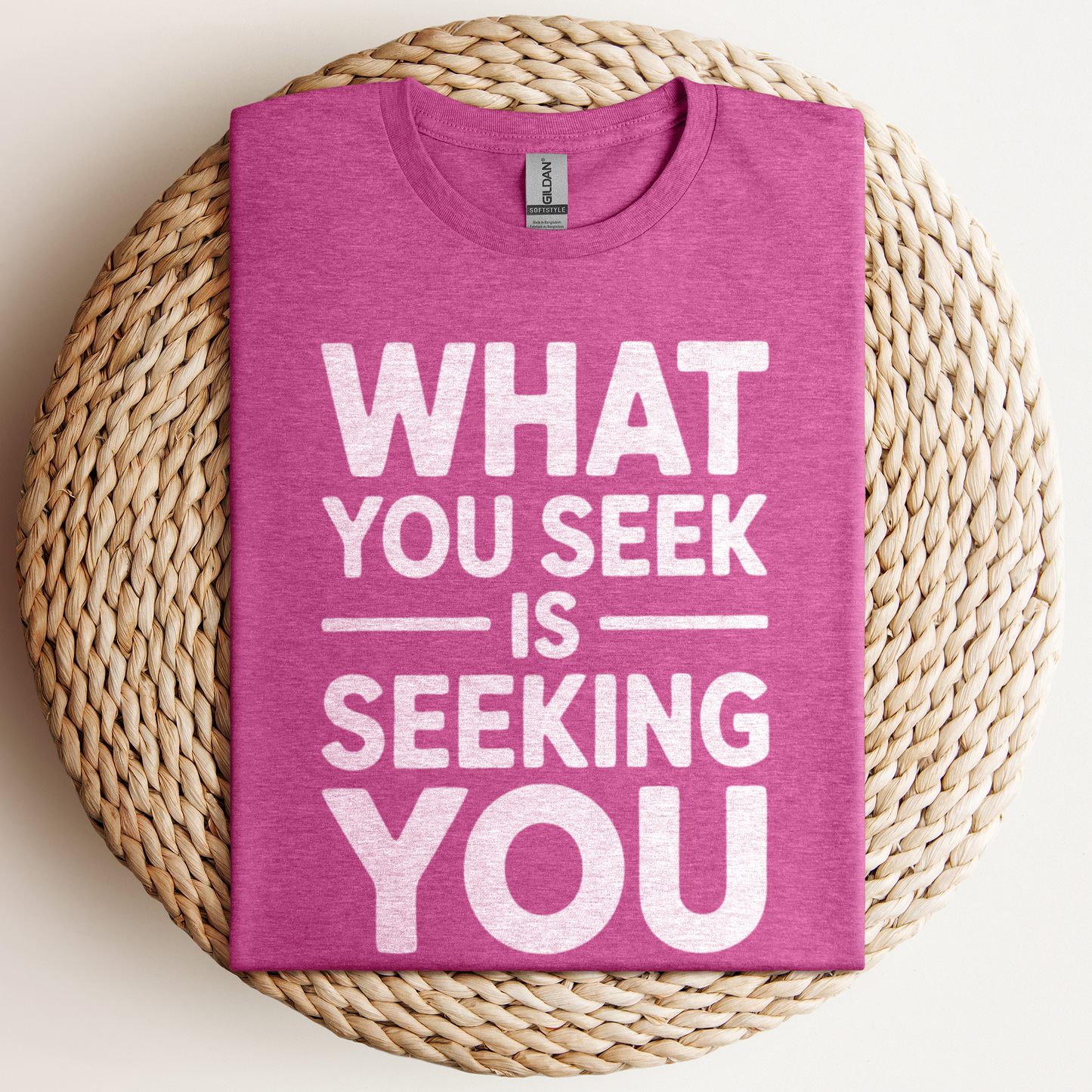 What You Seek Is T-Shirt
