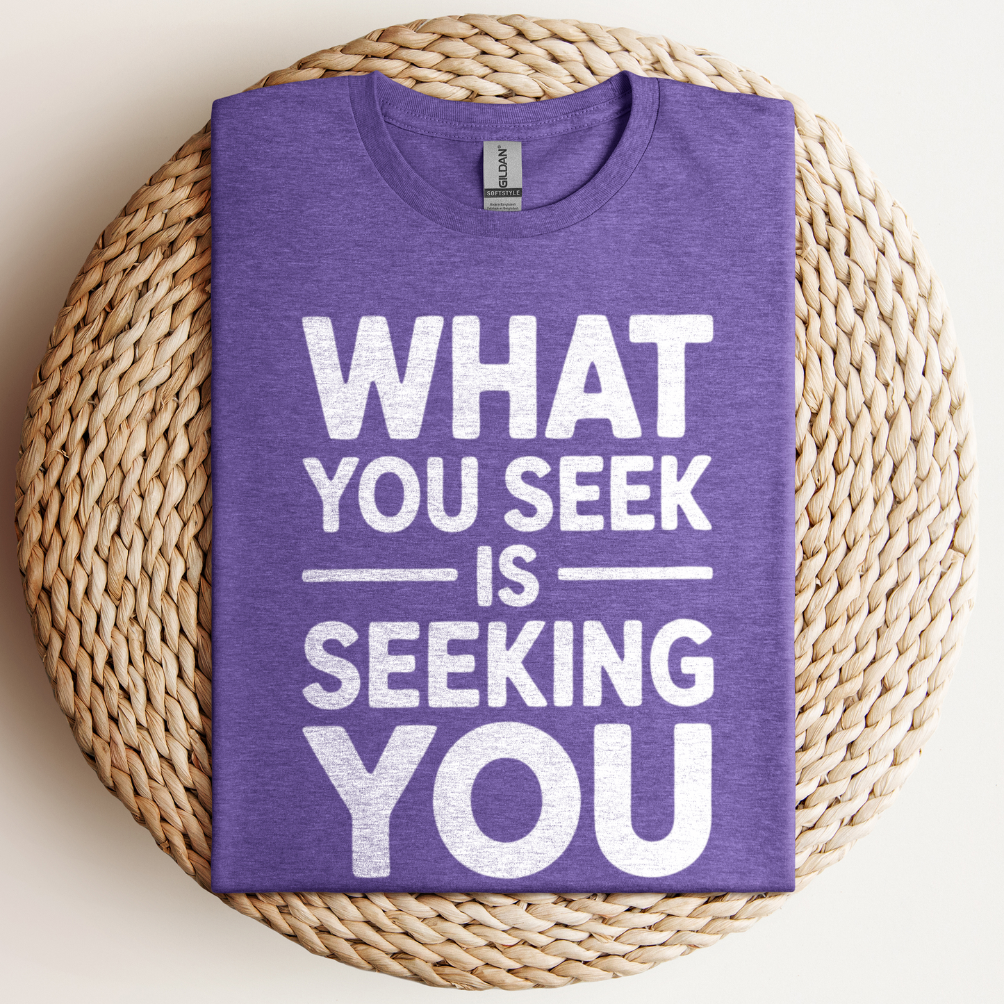 What You Seek Is T-Shirt