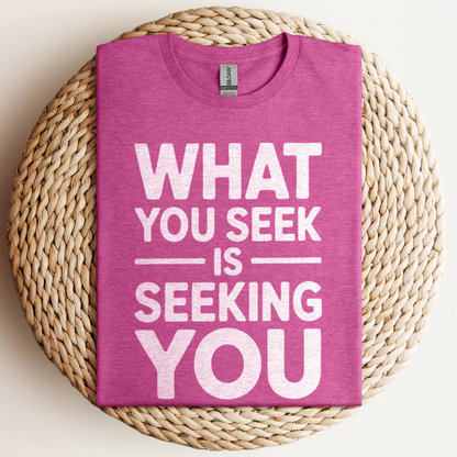 What You Seek Is T-Shirt