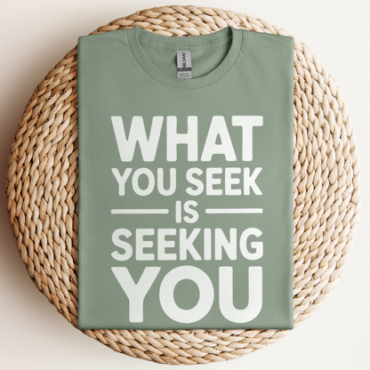 What You Seek Is T-Shirt