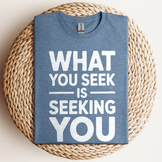 What You Seek Is T-Shirt
